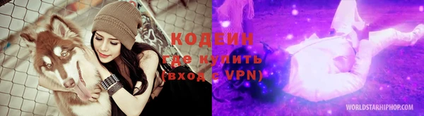 шишки Заволжье