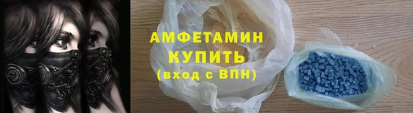 шишки Заволжье