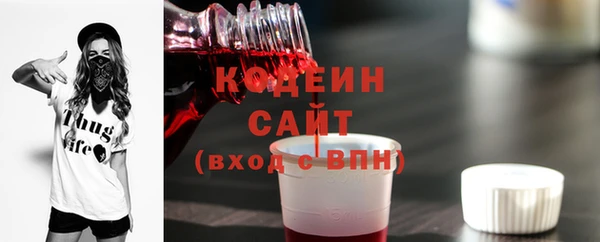 шишки Заволжье