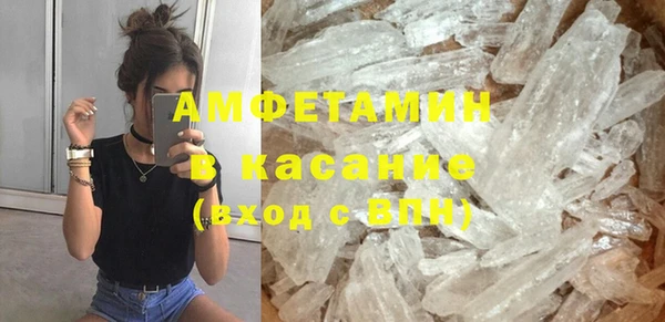шишки Заволжье