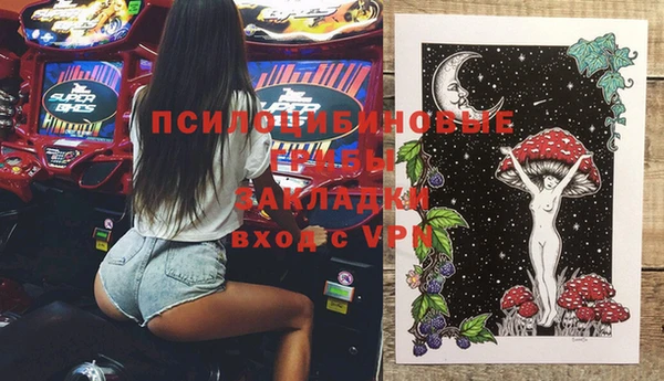 шишки Заволжье