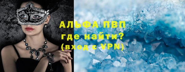 шишки Заволжье