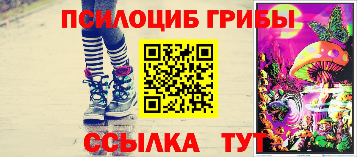 Псилоцибиновые грибы MAGIC MUSHROOMS Саяногорск